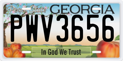 GA license plate PWV3656