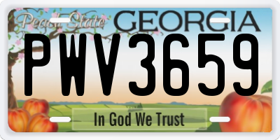 GA license plate PWV3659