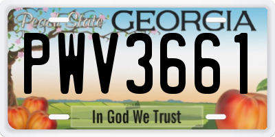 GA license plate PWV3661