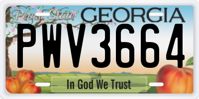 GA license plate PWV3664