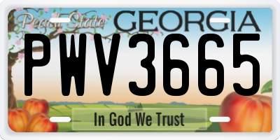 GA license plate PWV3665