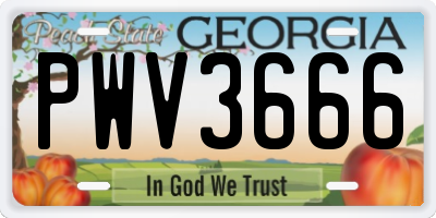GA license plate PWV3666