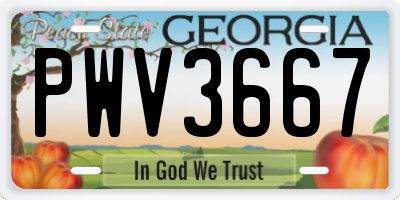 GA license plate PWV3667
