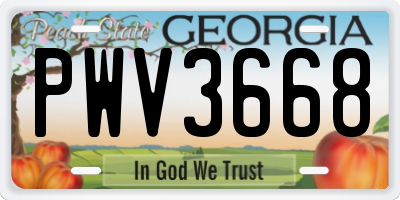 GA license plate PWV3668