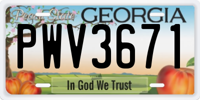 GA license plate PWV3671