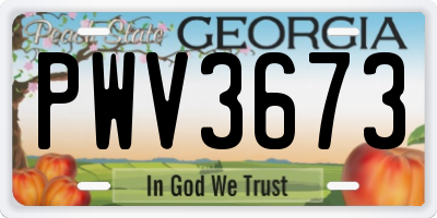 GA license plate PWV3673