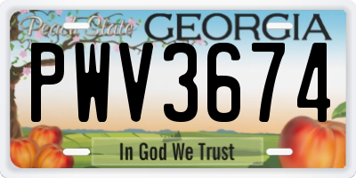 GA license plate PWV3674