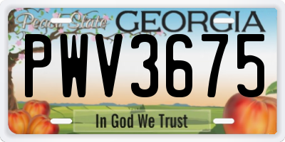 GA license plate PWV3675
