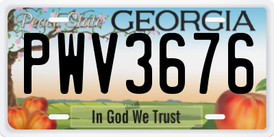 GA license plate PWV3676