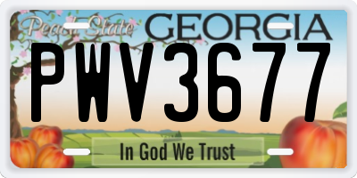 GA license plate PWV3677