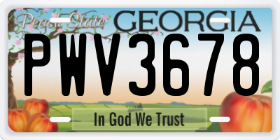 GA license plate PWV3678