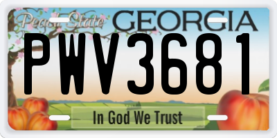 GA license plate PWV3681