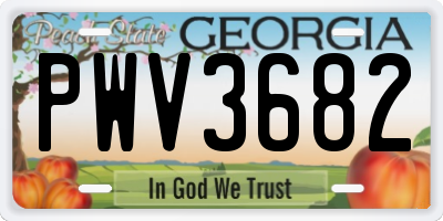 GA license plate PWV3682