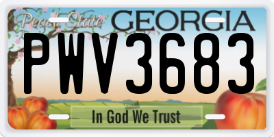 GA license plate PWV3683
