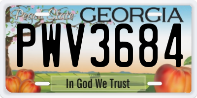 GA license plate PWV3684