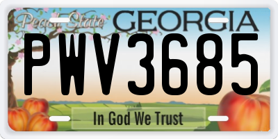 GA license plate PWV3685