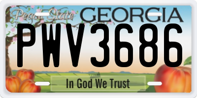 GA license plate PWV3686