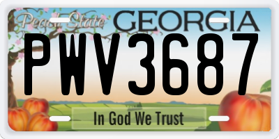 GA license plate PWV3687