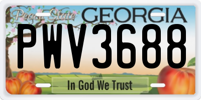 GA license plate PWV3688