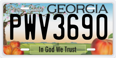 GA license plate PWV3690