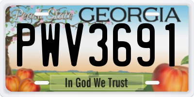 GA license plate PWV3691