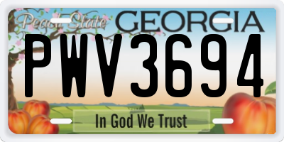GA license plate PWV3694