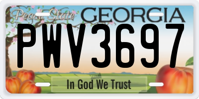 GA license plate PWV3697