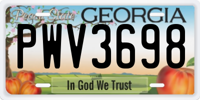 GA license plate PWV3698