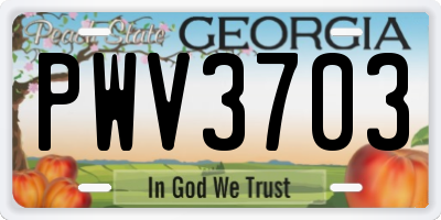 GA license plate PWV3703