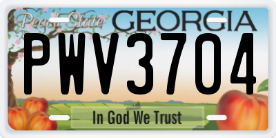 GA license plate PWV3704