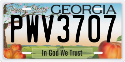 GA license plate PWV3707