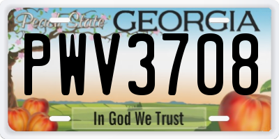 GA license plate PWV3708