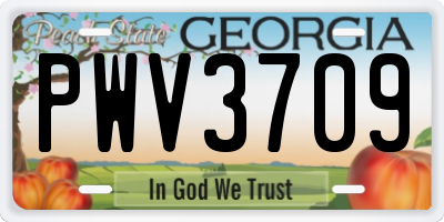 GA license plate PWV3709