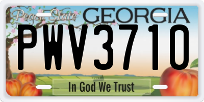 GA license plate PWV3710