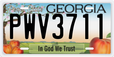 GA license plate PWV3711