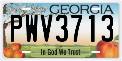 GA license plate PWV3713