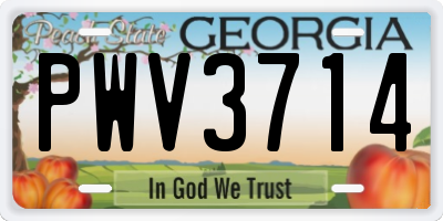 GA license plate PWV3714