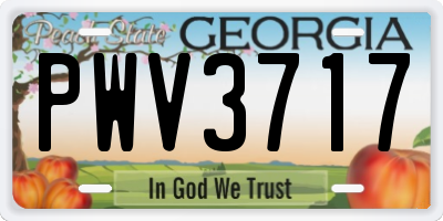 GA license plate PWV3717