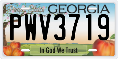 GA license plate PWV3719