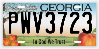 GA license plate PWV3723
