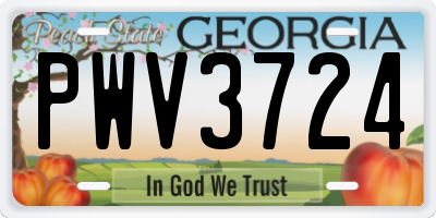 GA license plate PWV3724