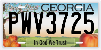 GA license plate PWV3725