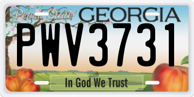 GA license plate PWV3731