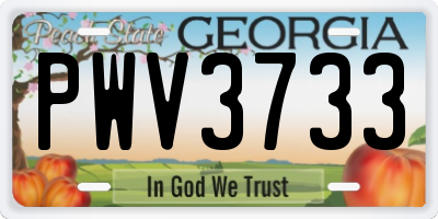 GA license plate PWV3733