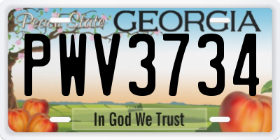GA license plate PWV3734