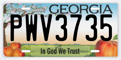 GA license plate PWV3735
