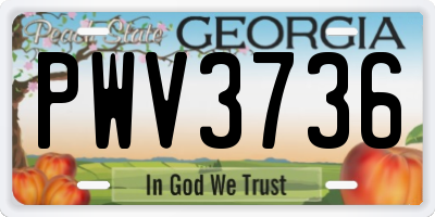 GA license plate PWV3736