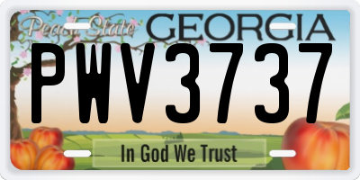 GA license plate PWV3737