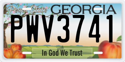 GA license plate PWV3741
