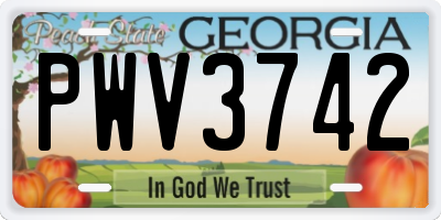 GA license plate PWV3742
